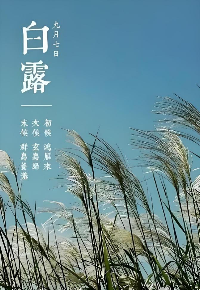 图片15.png